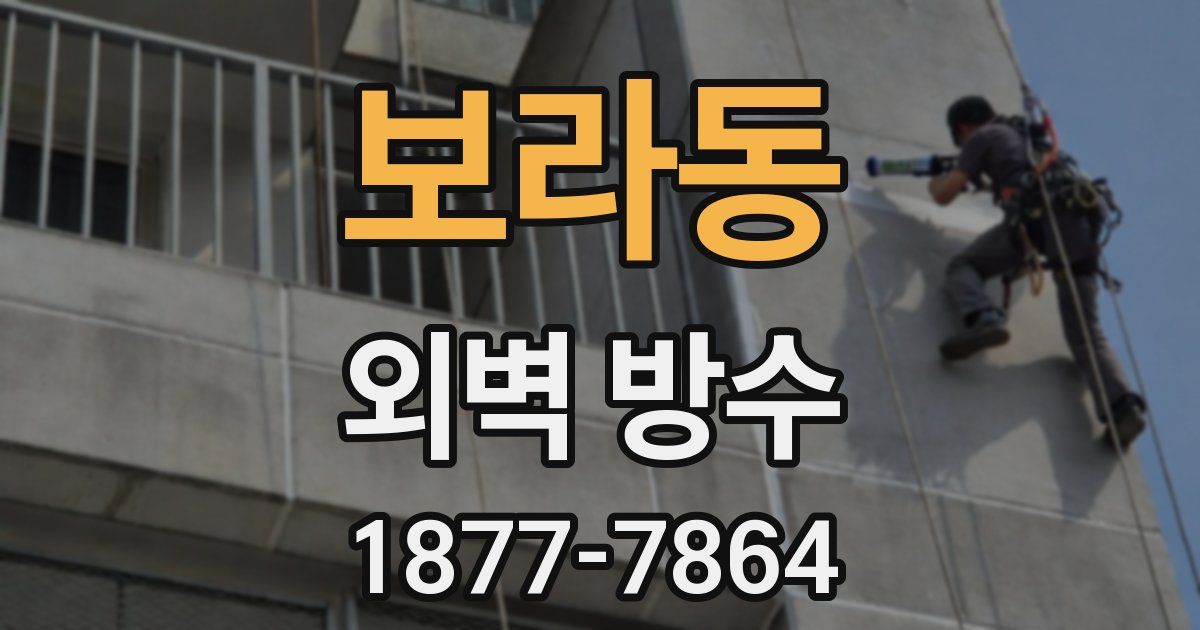 보라동 외벽 방수