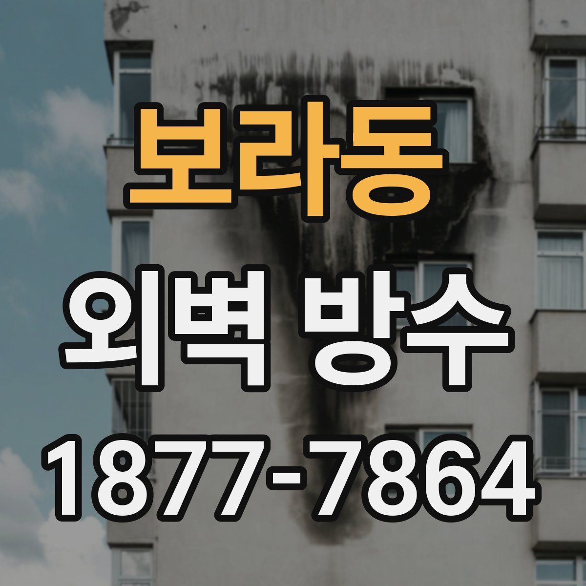보라동 외벽 방수
