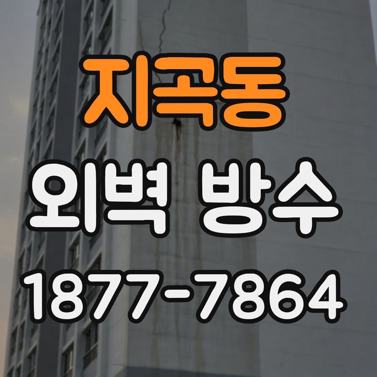 지곡동 외벽 방수 보수 공사를 서둘러야 하는 상황