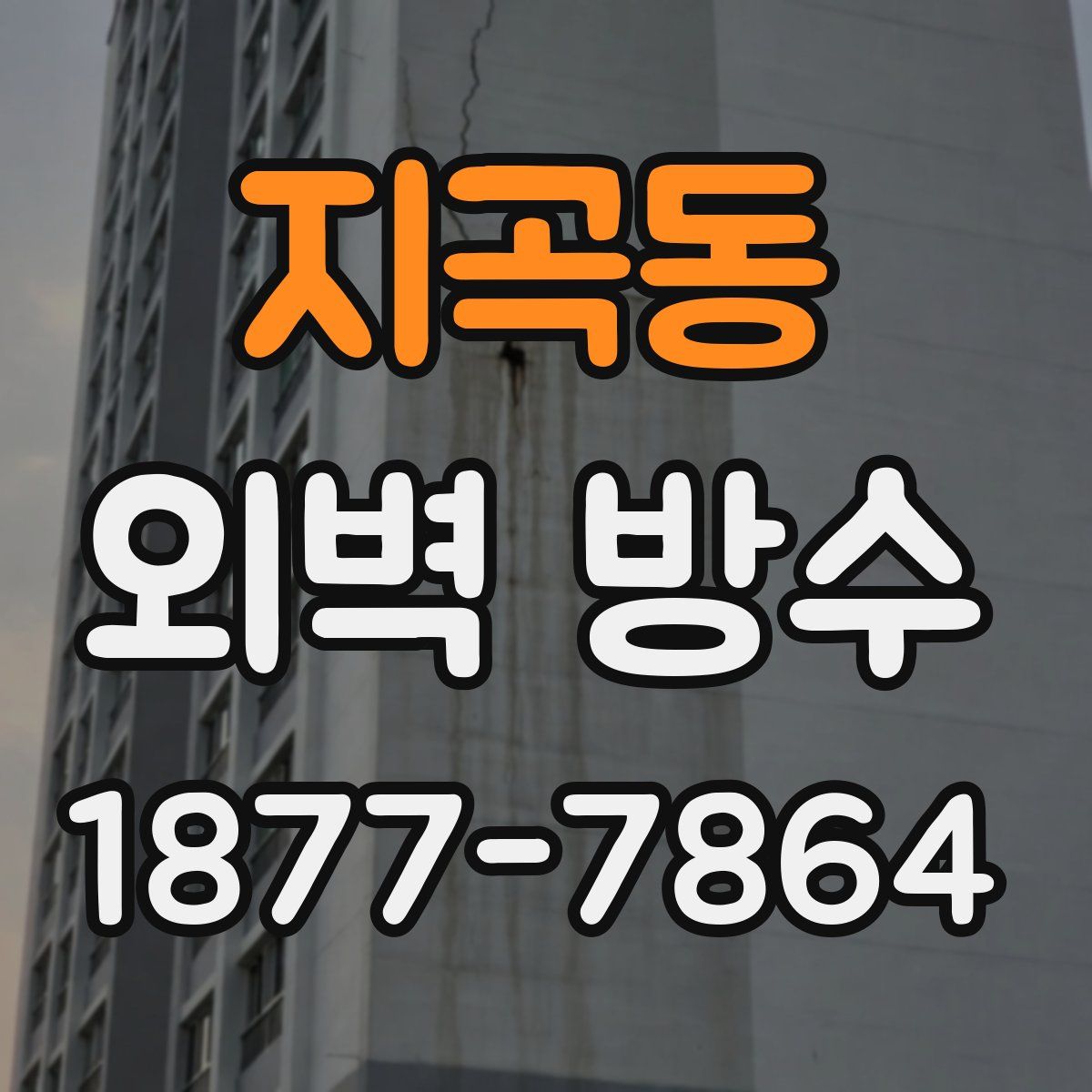 지곡동 외벽 방수