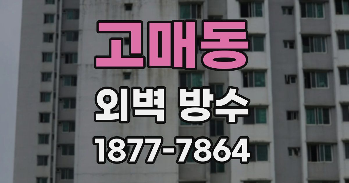 고매동 외벽 방수