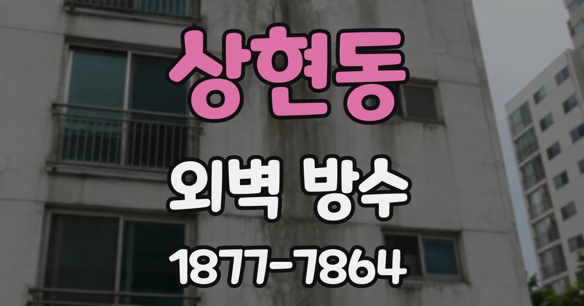 상현동 외벽 방수