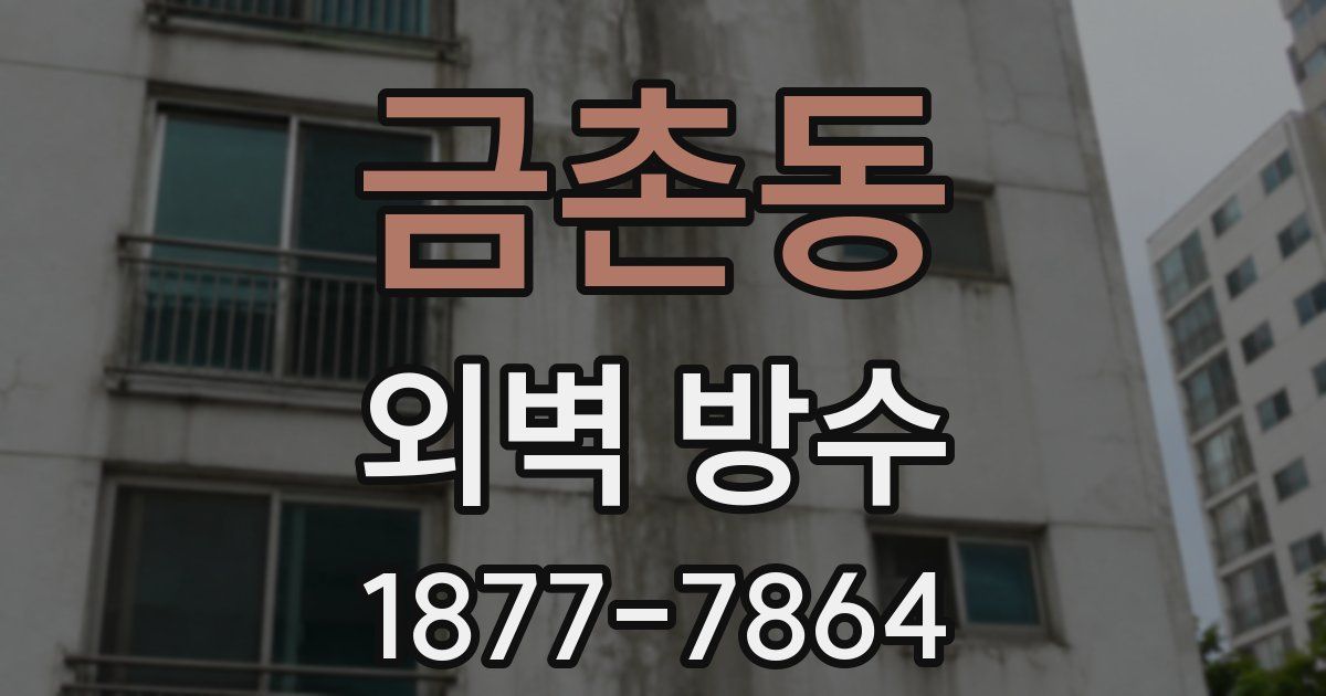 금촌동 외벽 방수