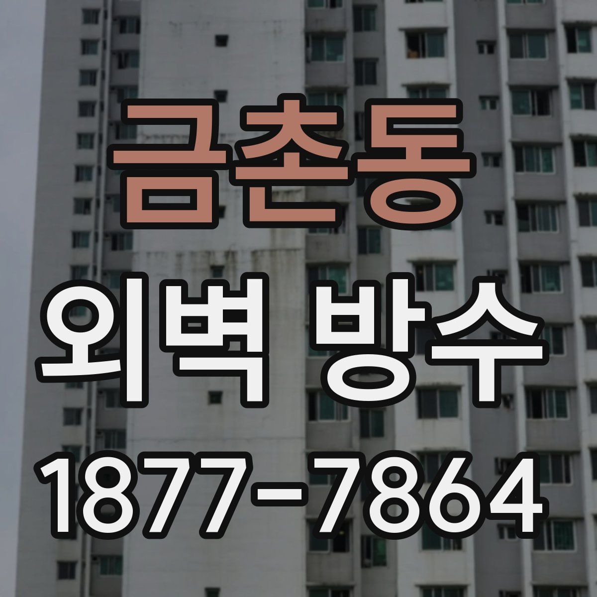 금촌동 외벽 방수