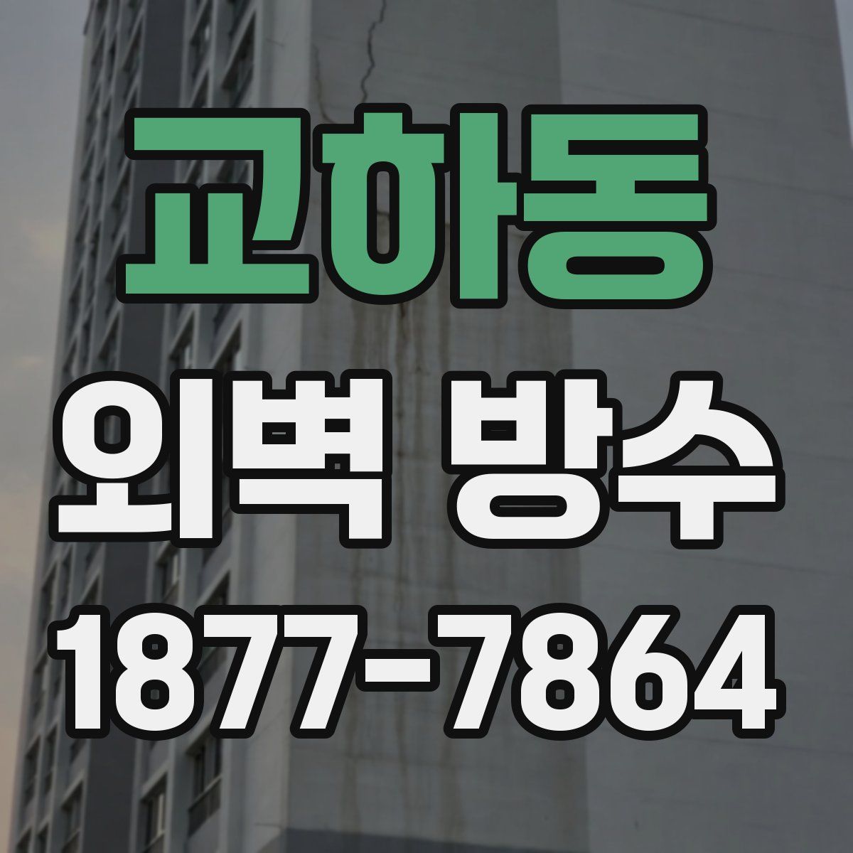 교하동 외벽 방수