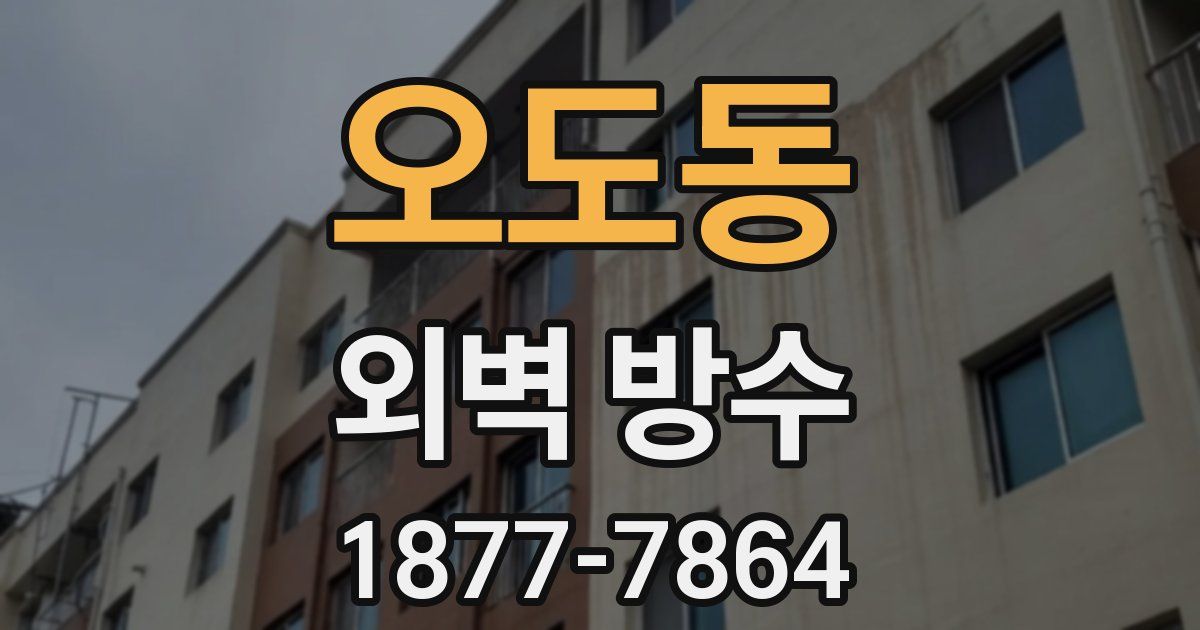 오도동 외벽 방수