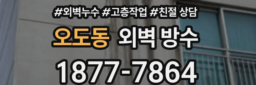 오도동 외벽 방수