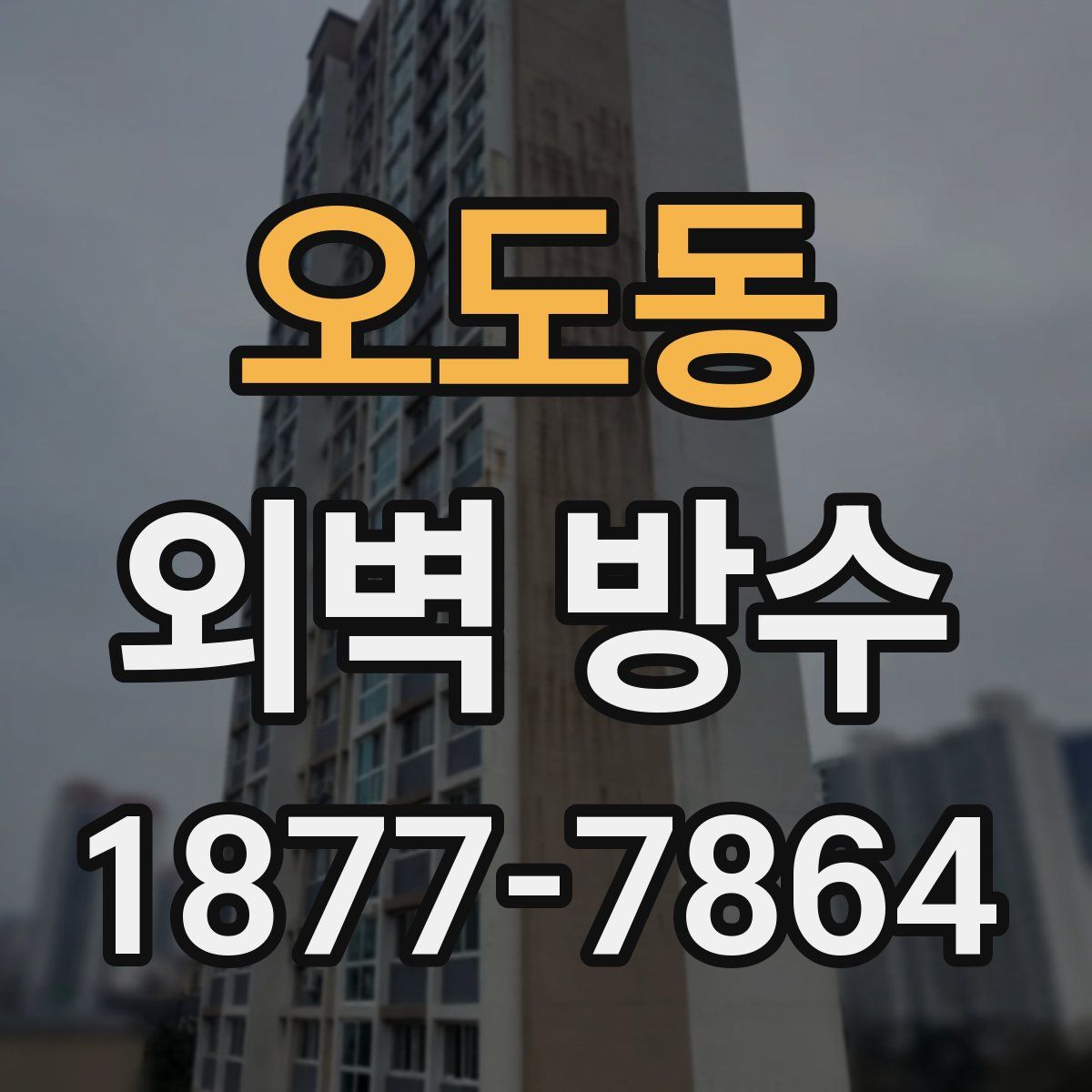 오도동 외벽 방수