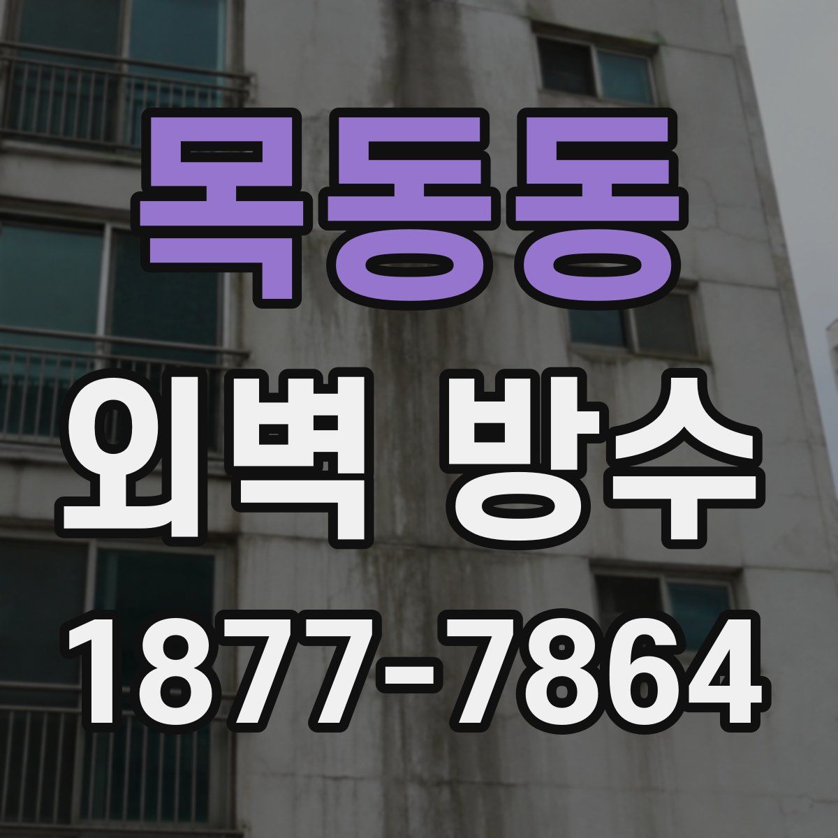 목동동 외벽 방수