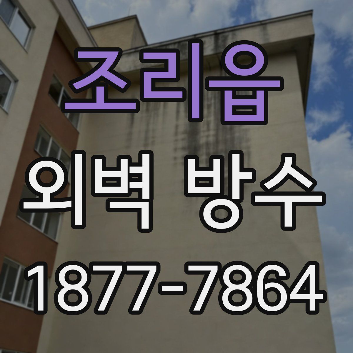 조리읍 외벽 방수