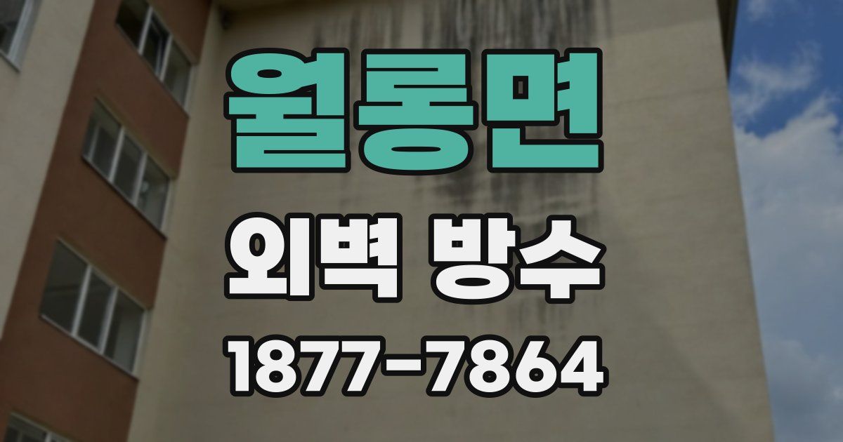 월롱면 외벽 방수