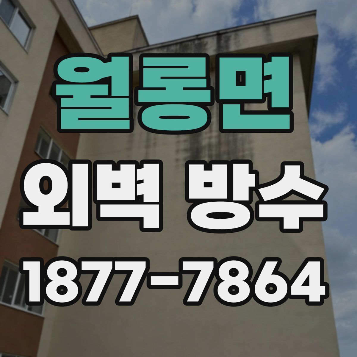 월롱면 외벽 방수