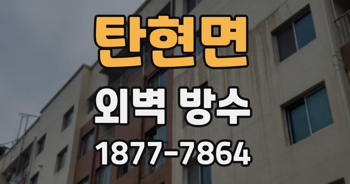 탄현면 외벽 방수