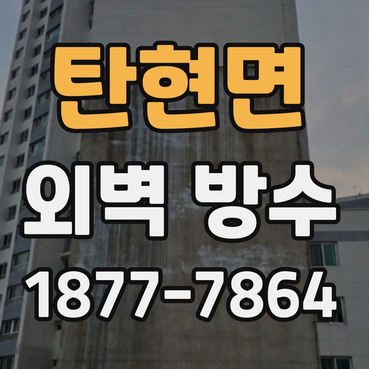 탄현면 외벽 방수