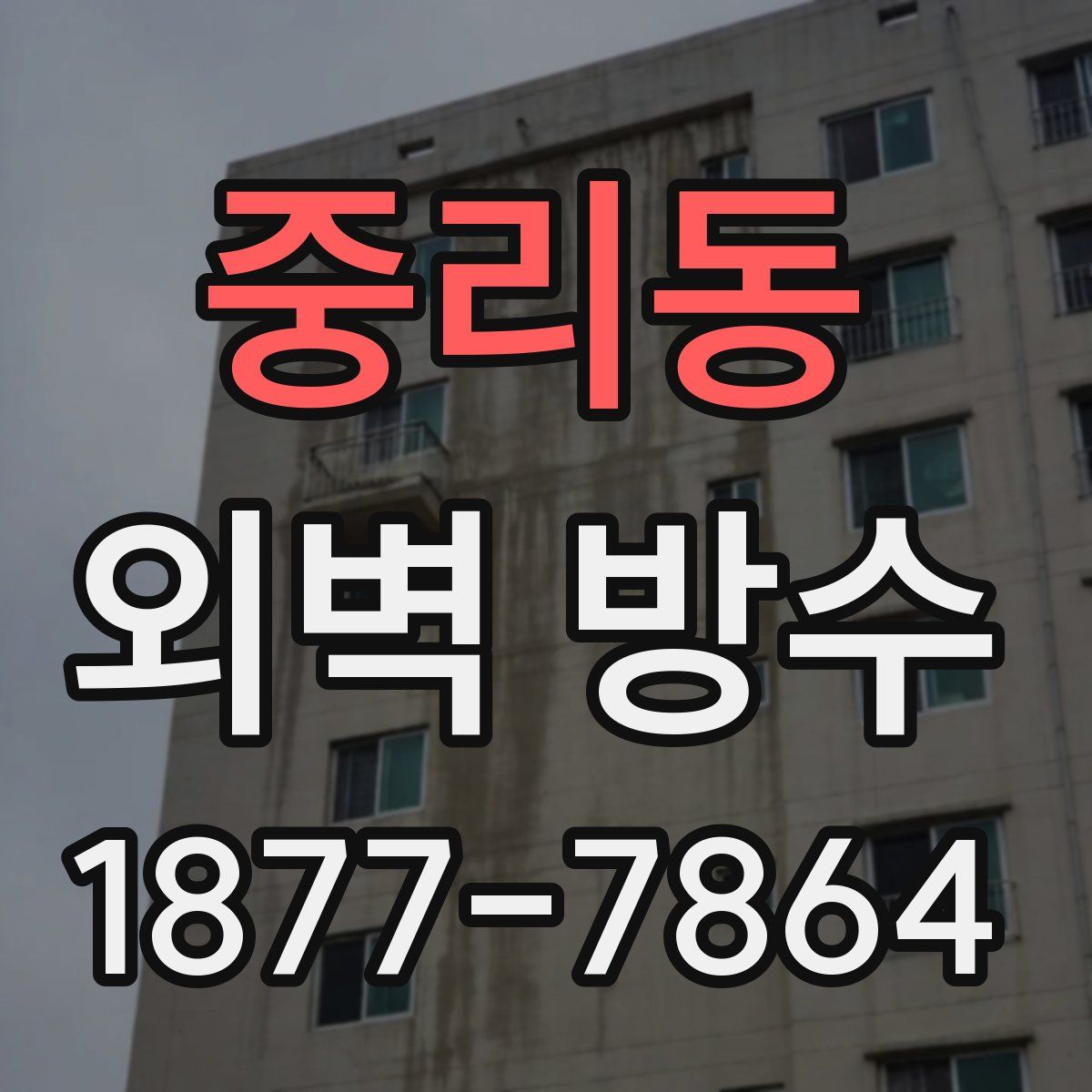 중리동 외벽 방수