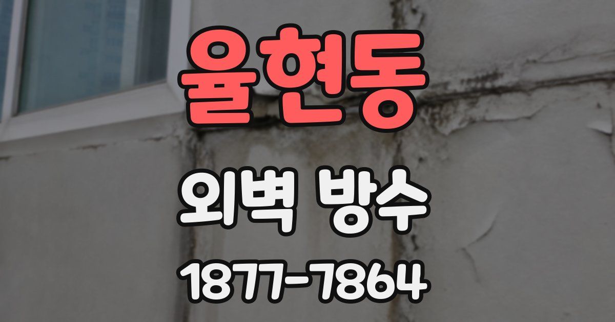 율현동 외벽 방수