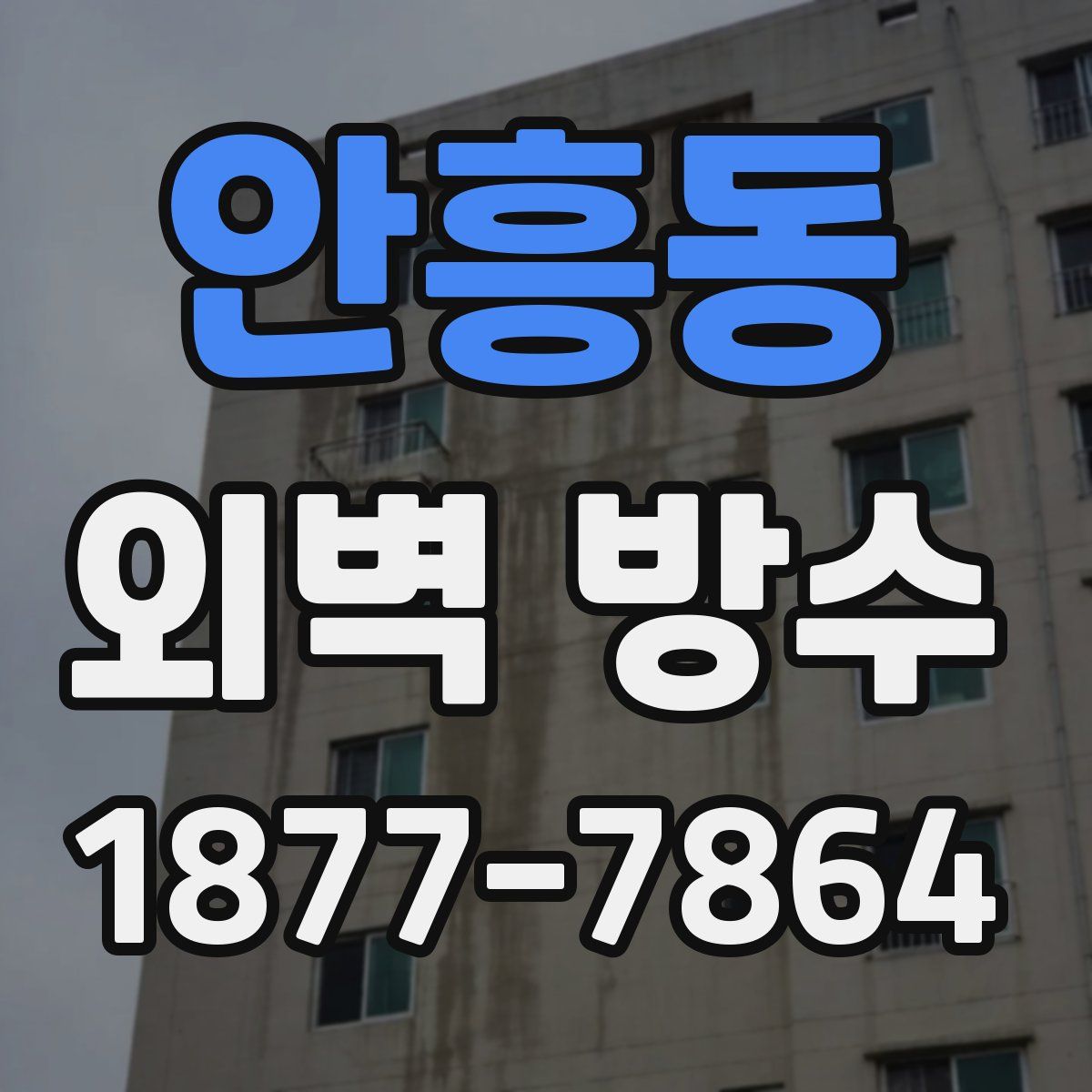 안흥동 외벽 방수