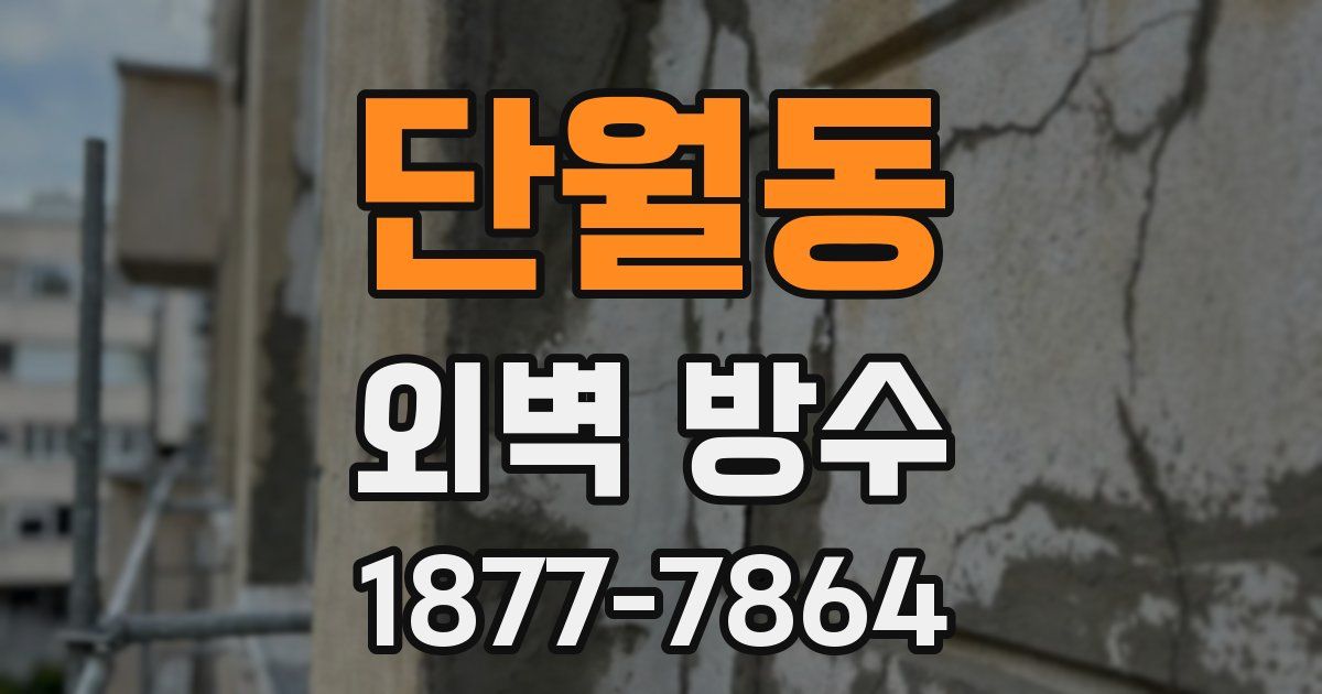 단월동 외벽 방수