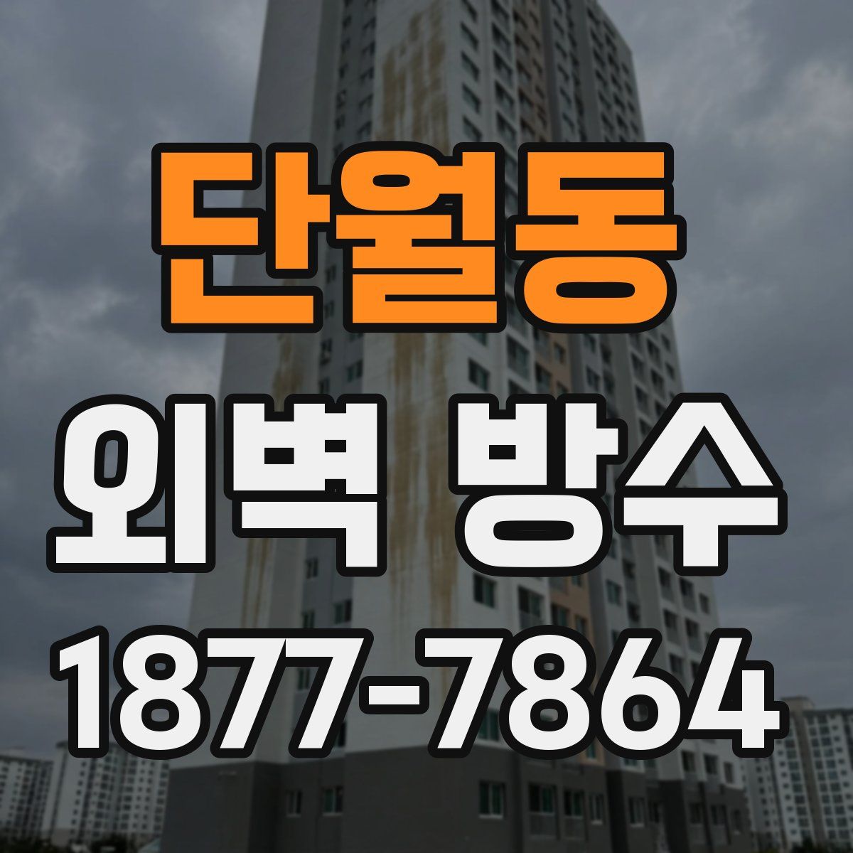 단월동 외벽 방수