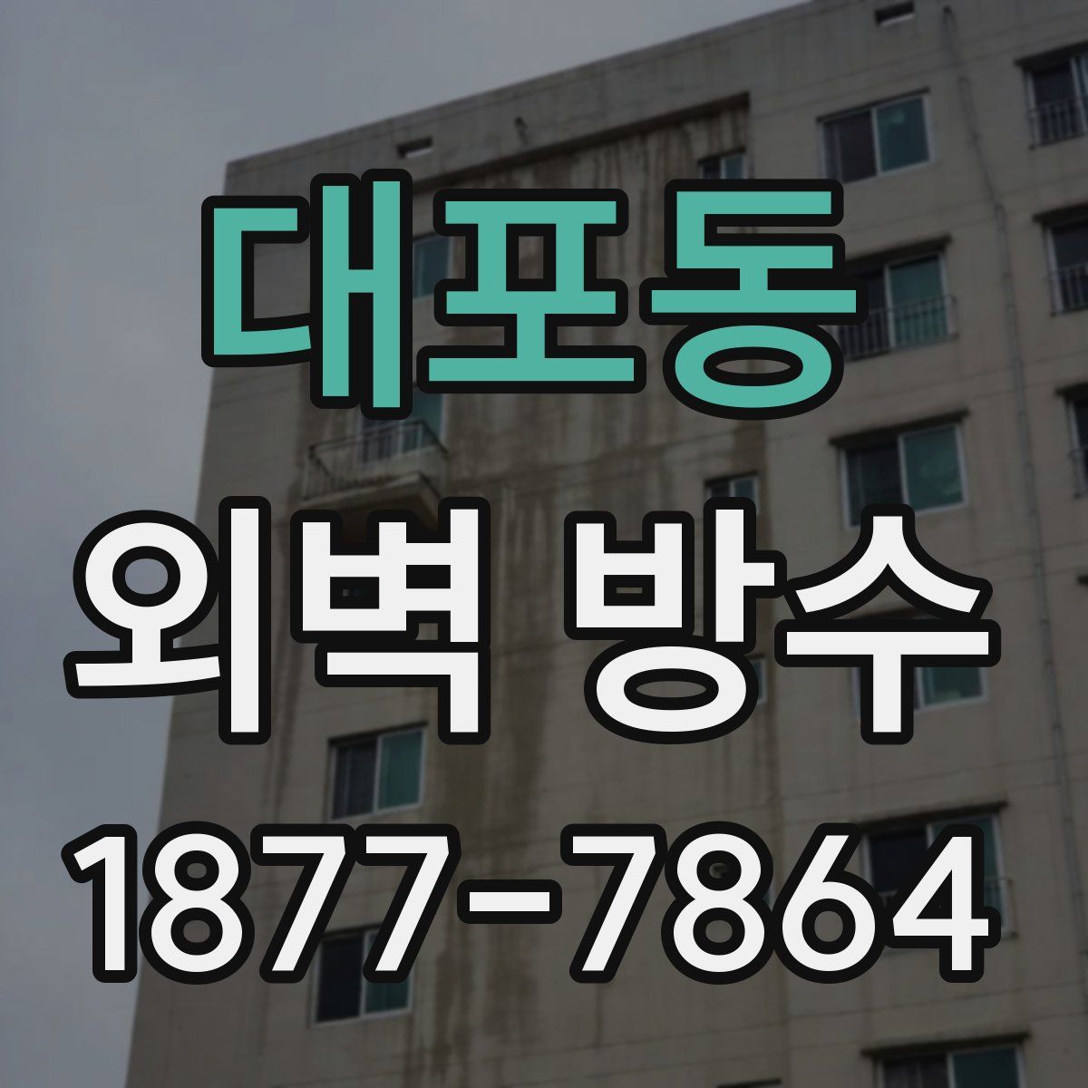 대포동 외벽 방수