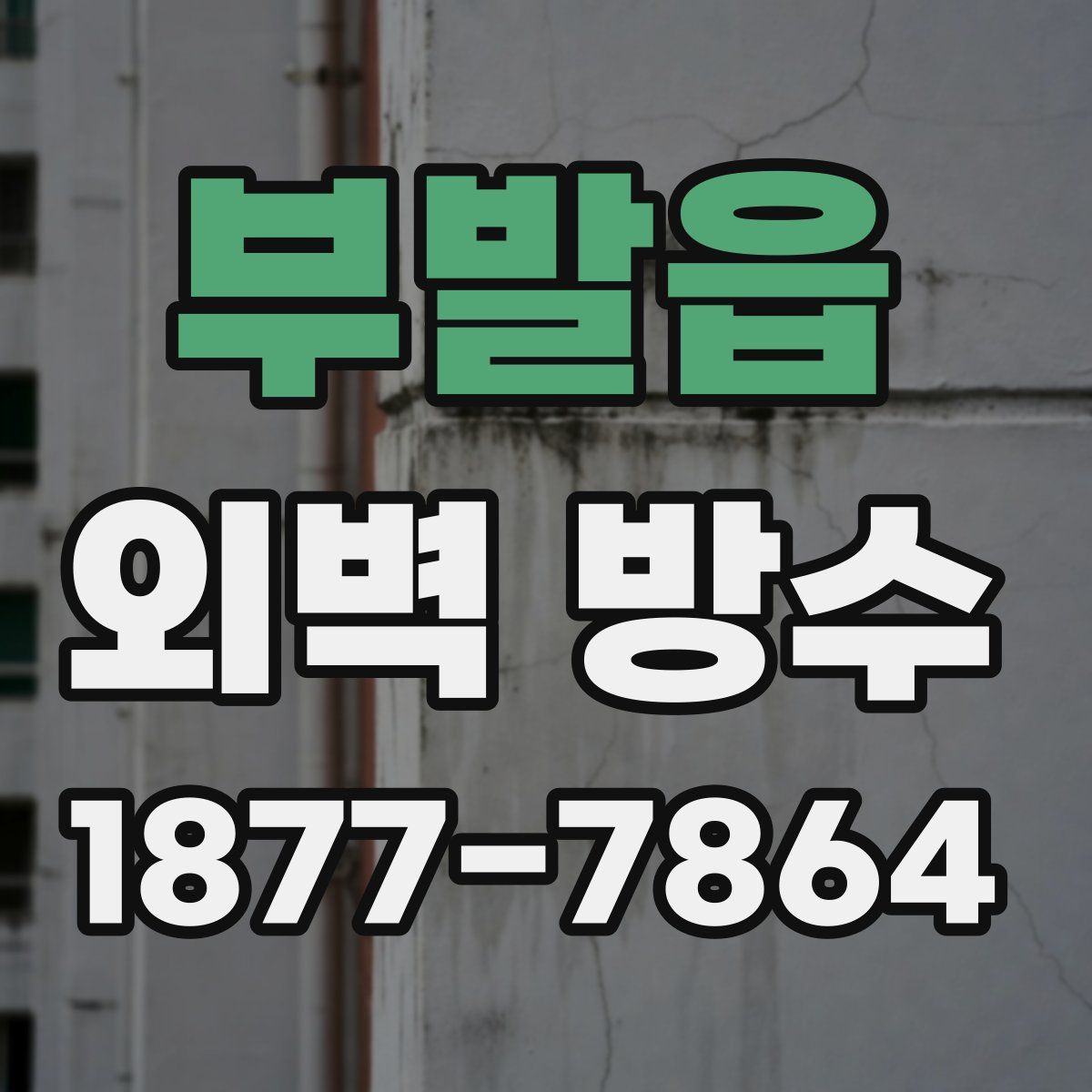 부발읍 외벽 방수