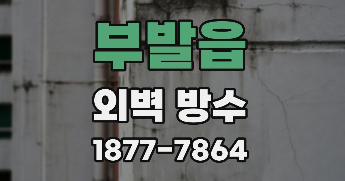 부발읍 외벽 방수