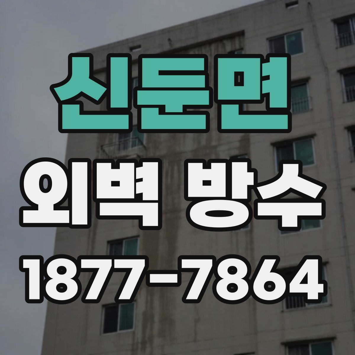 신둔면 외벽 방수
