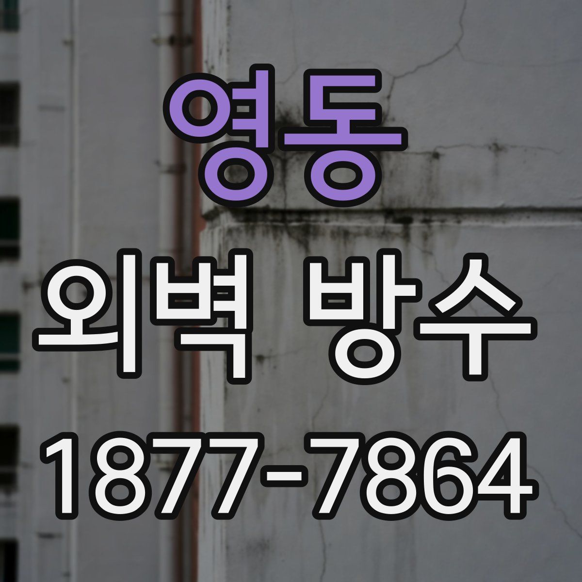 영동 외벽 방수