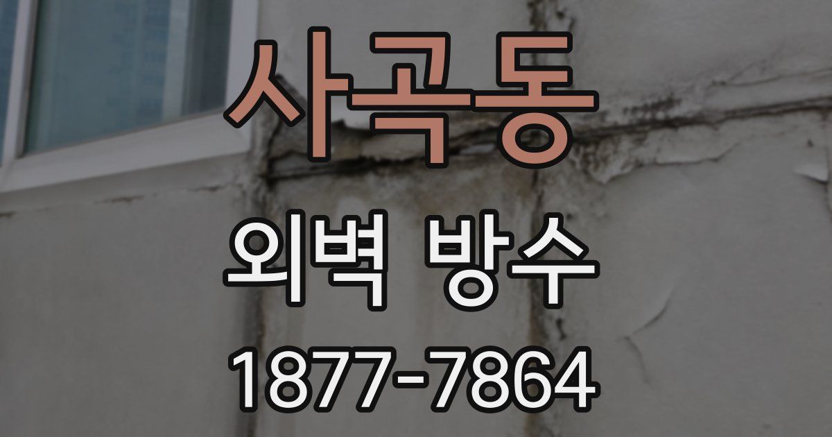 사곡동 외벽 방수