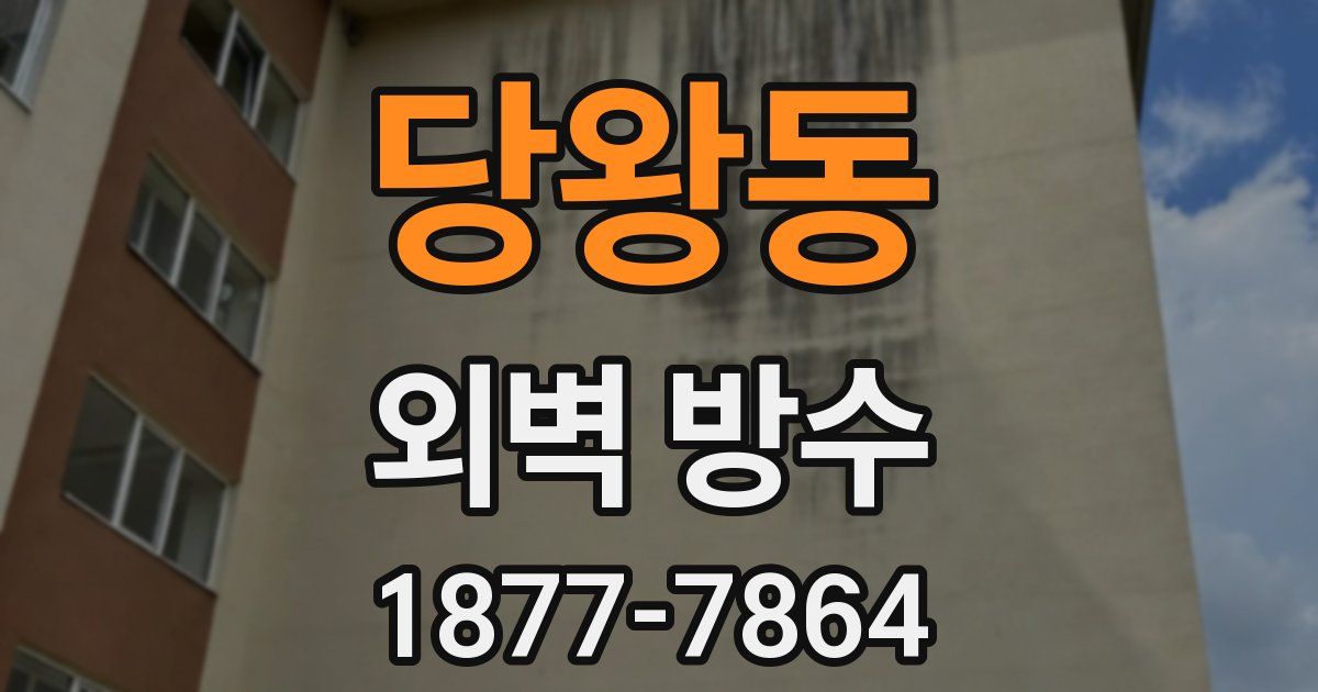 당왕동 외벽 방수