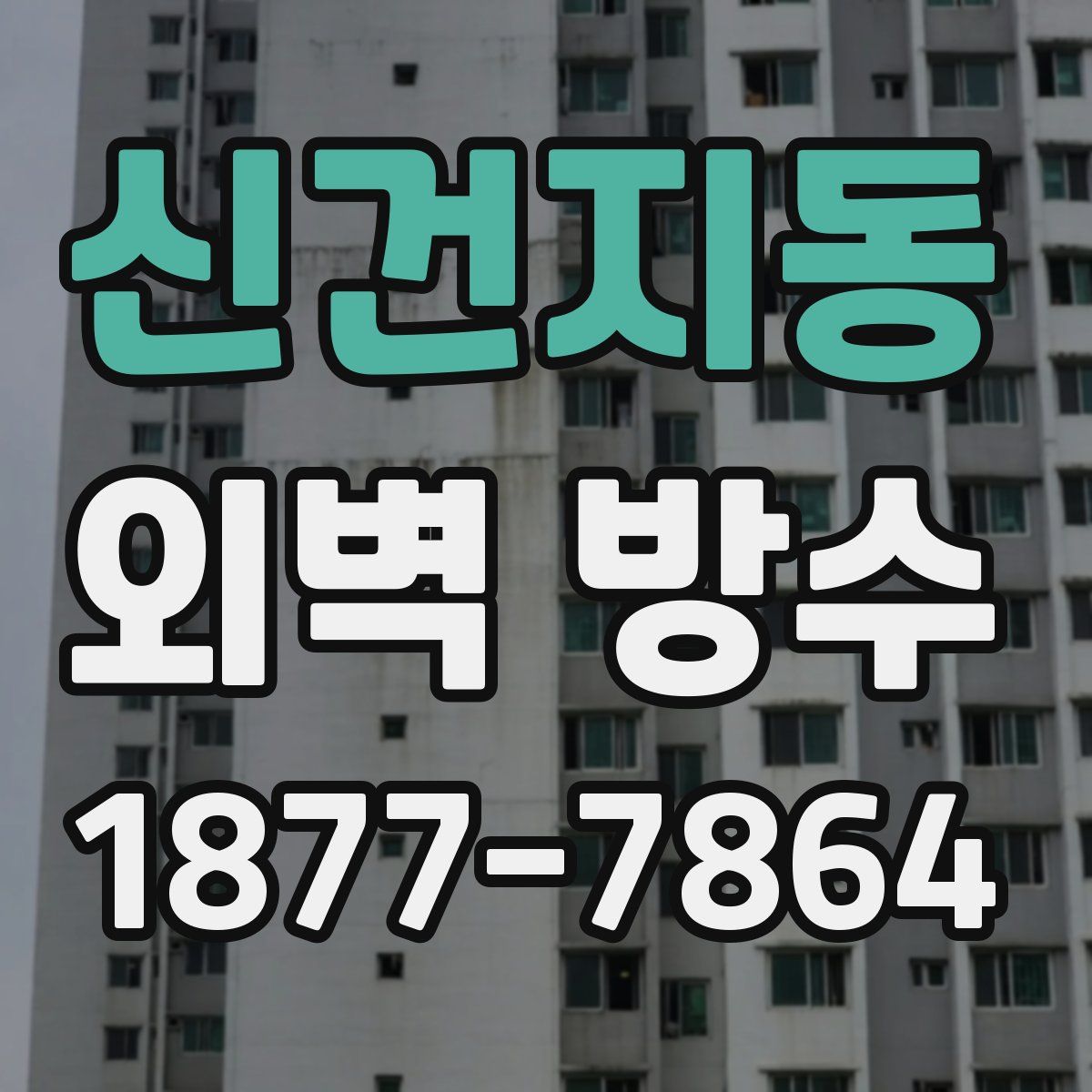 신건지동 외벽 방수