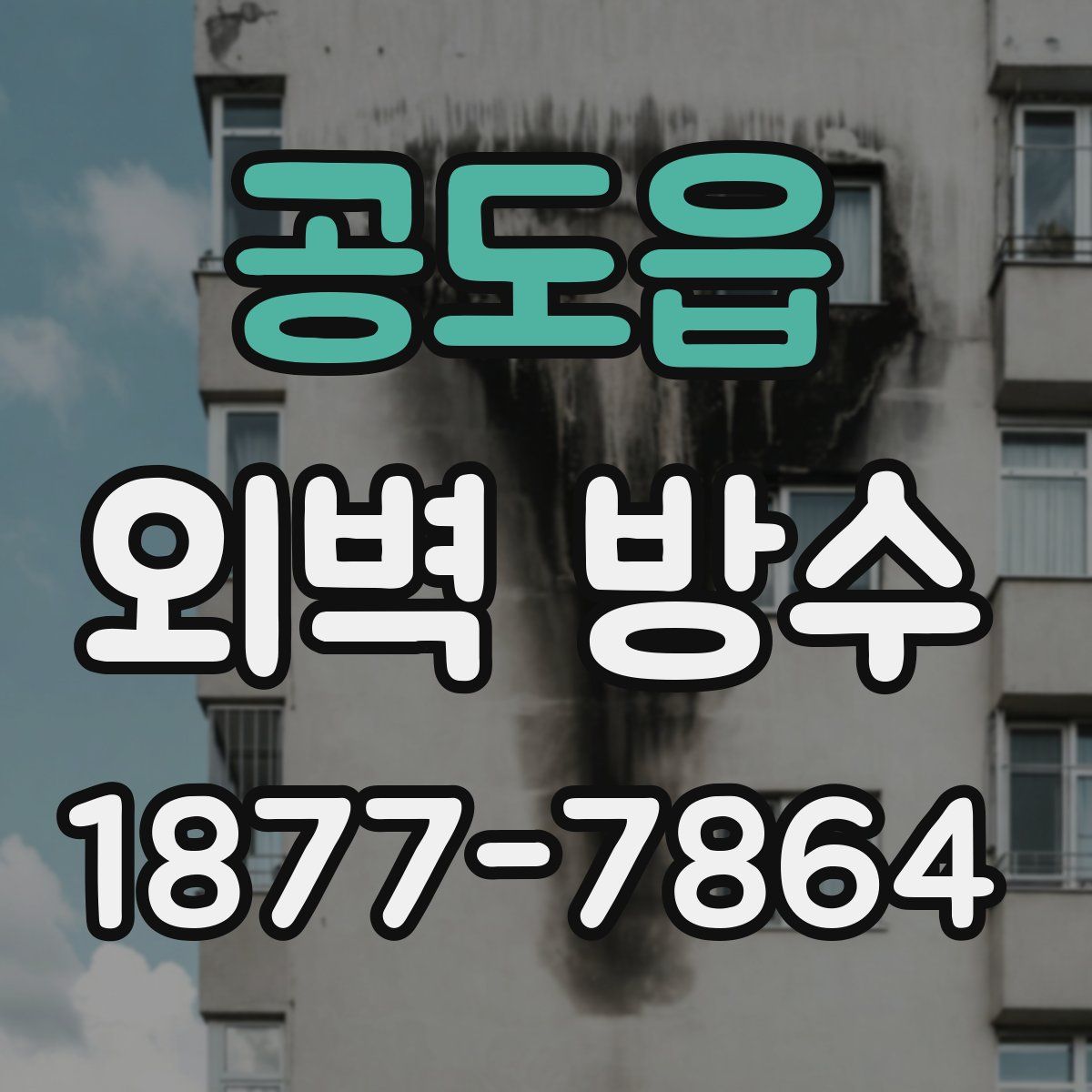 공도읍 외벽 방수