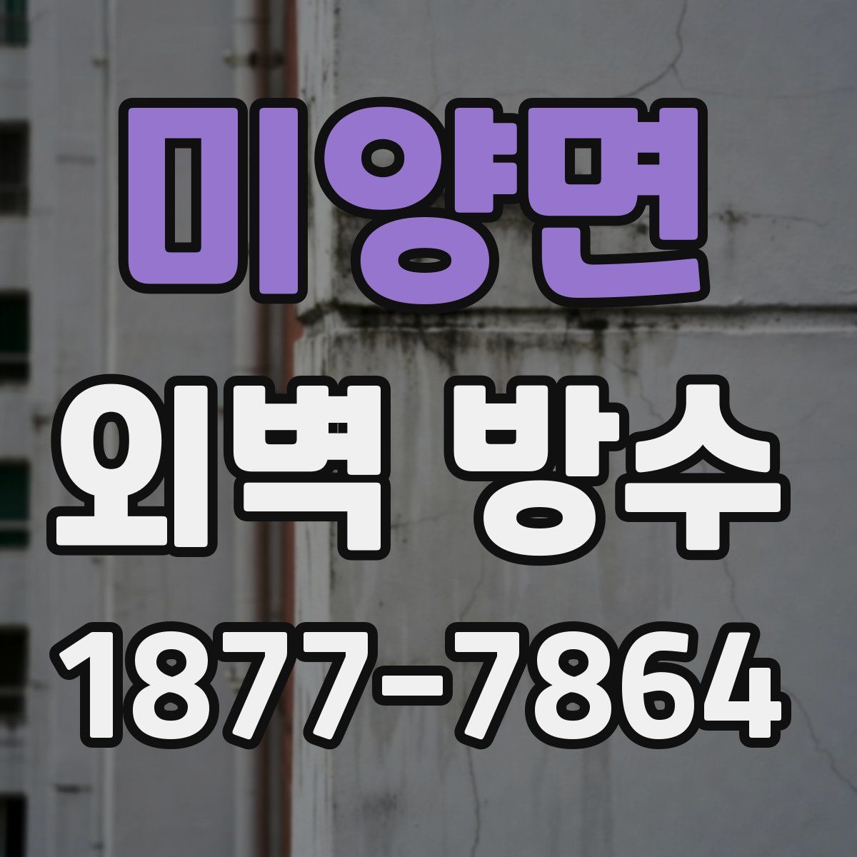 미양면 외벽 방수