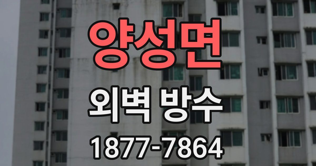 양성면 외벽 방수