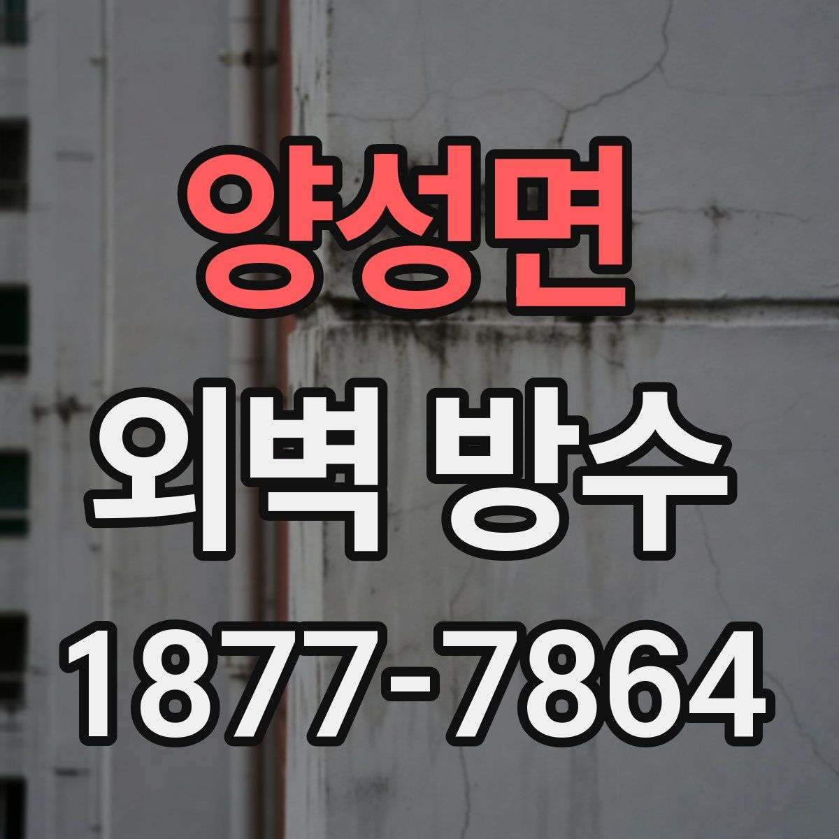 양성면 외벽 방수