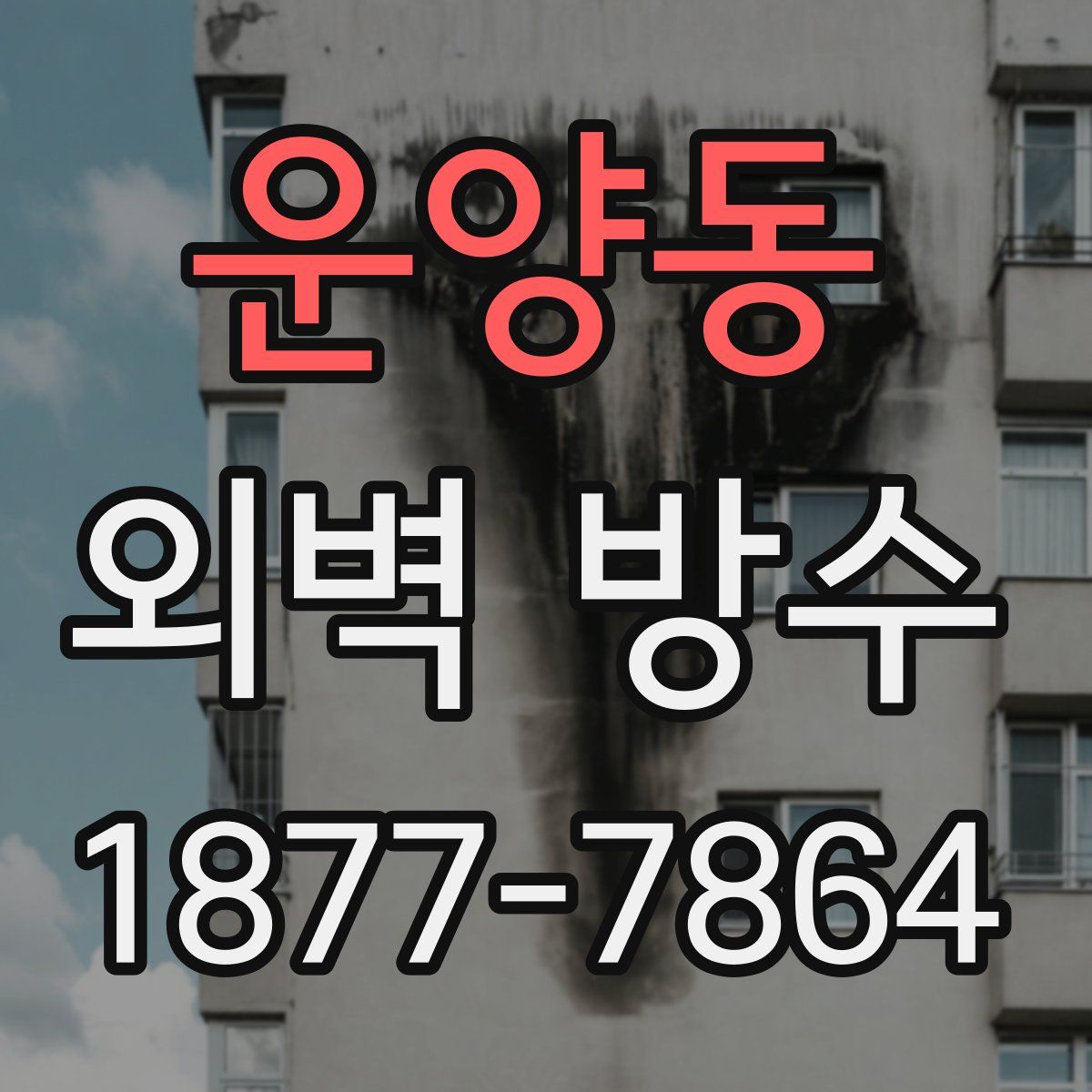 운양동 외벽 방수