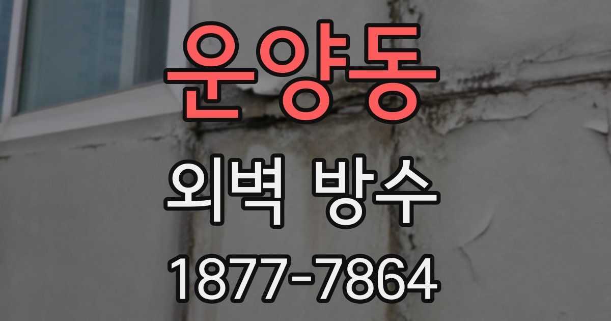 운양동 외벽 방수