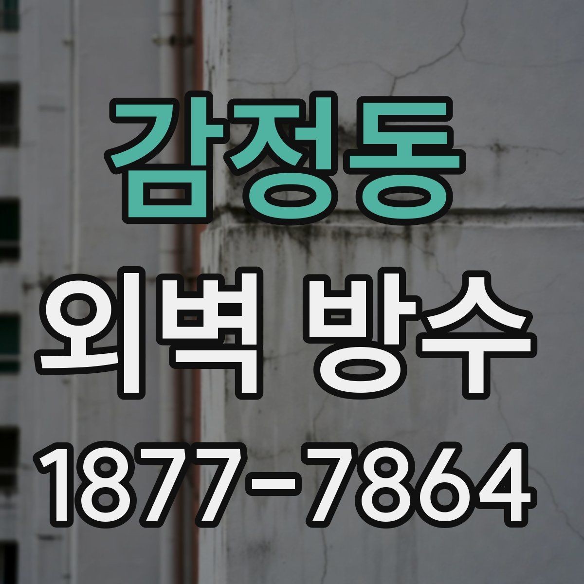 감정동 외벽 방수 문제와 곰팡이 발생의 연관성