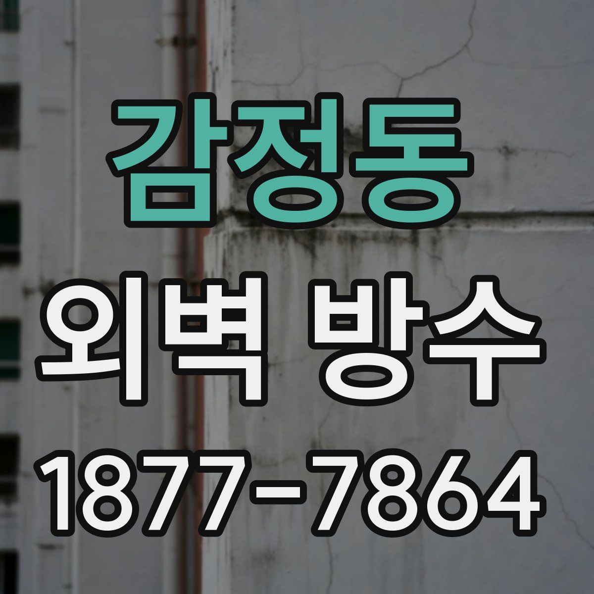 감정동 외벽 방수