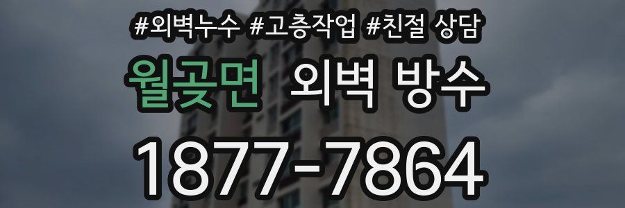 월곶면 외벽 방수