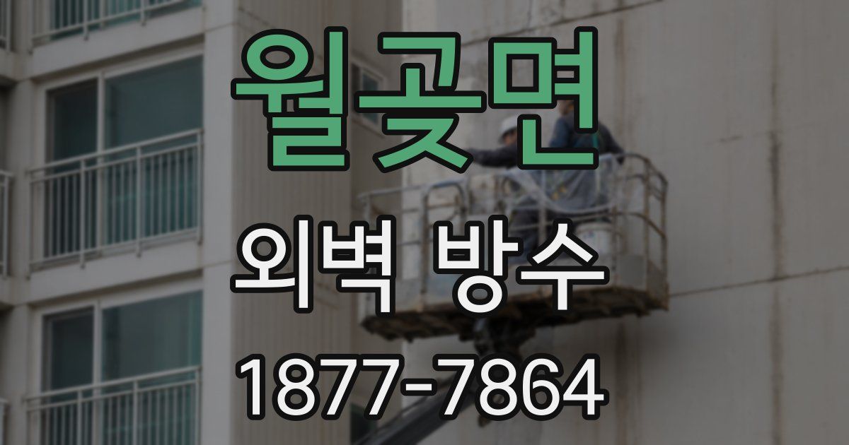 월곶면 외벽 방수