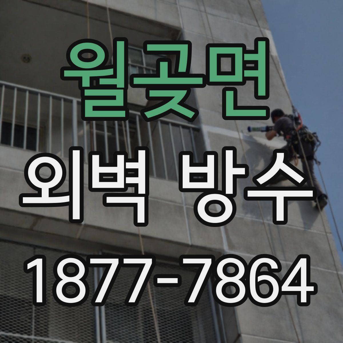 월곶면 외벽 방수