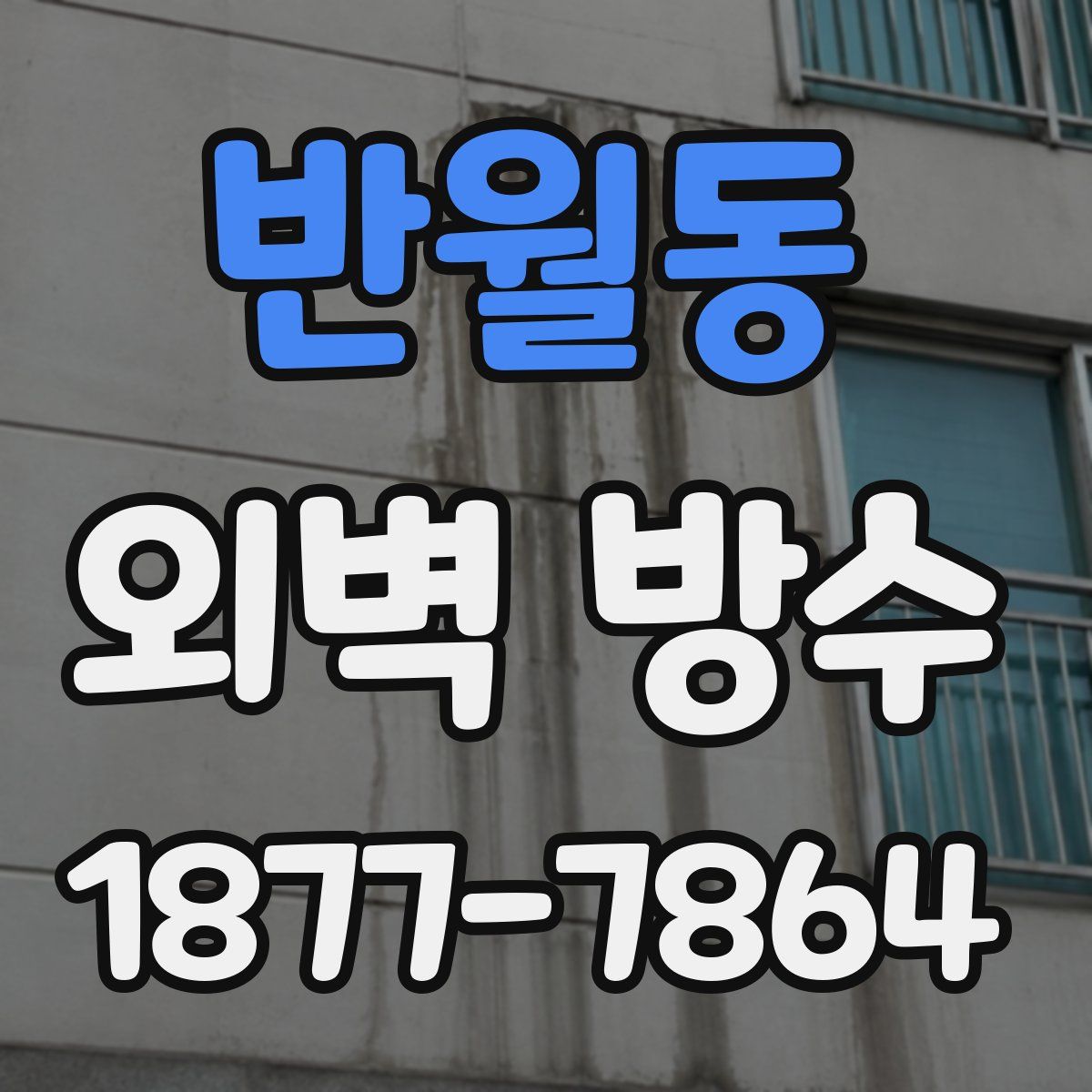 반월동 외벽 방수