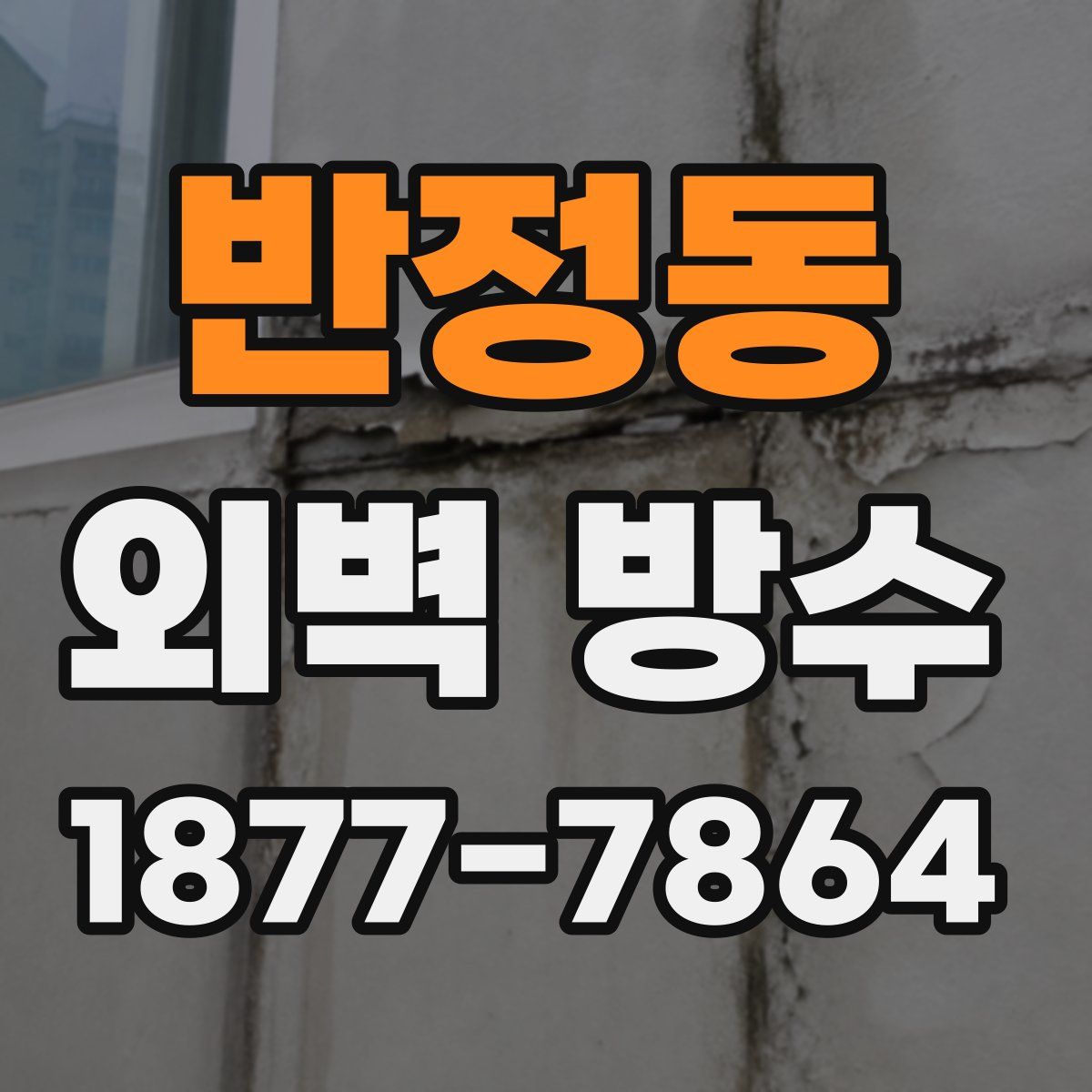 반정동 외벽 방수