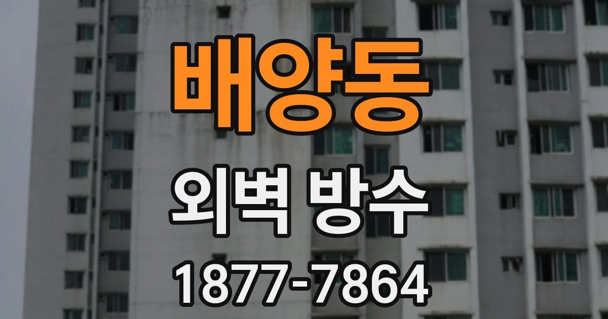 배양동 외벽 방수