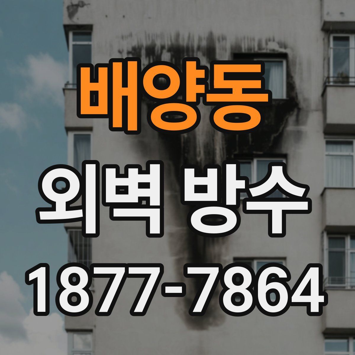 배양동 외벽 방수