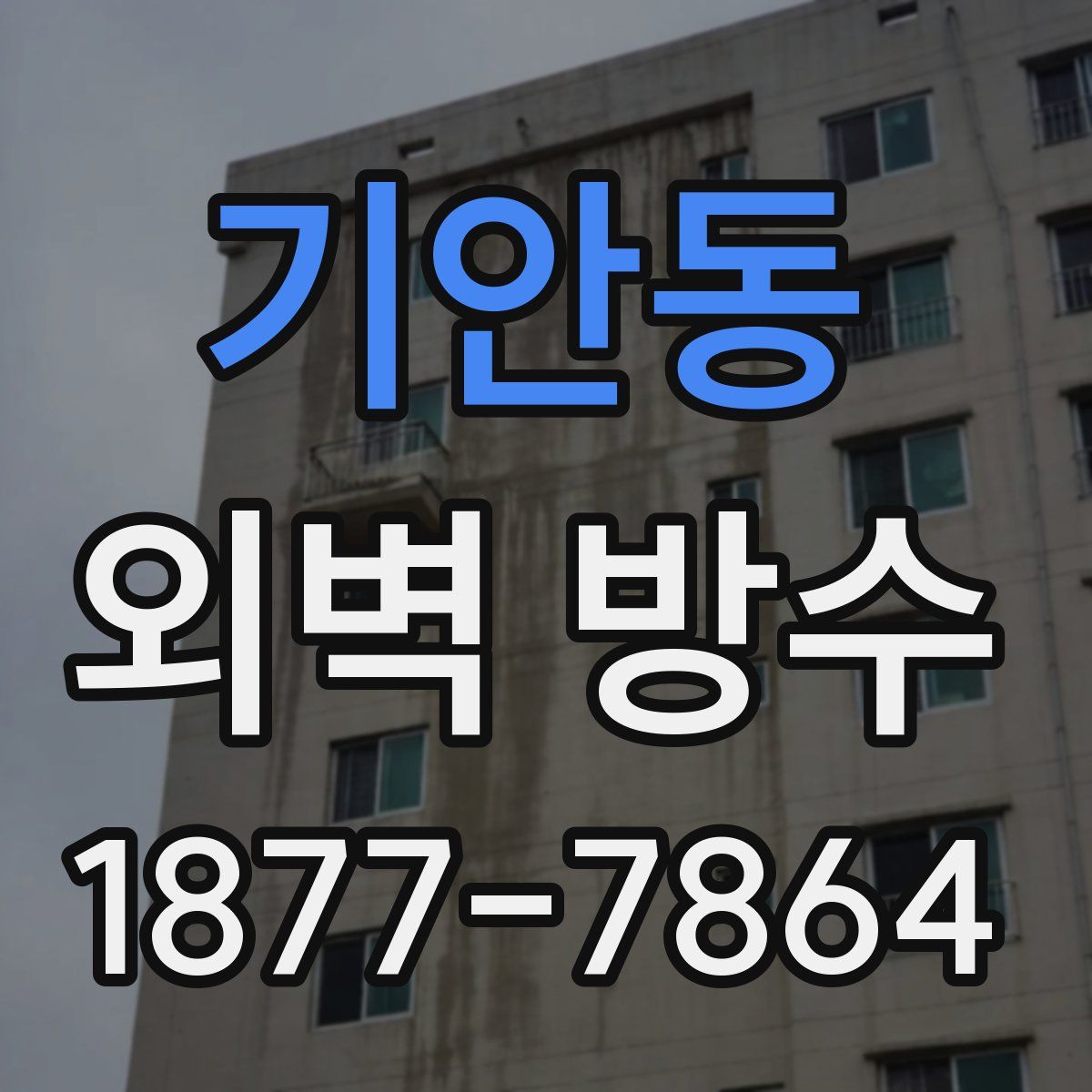 기안동 외벽 방수