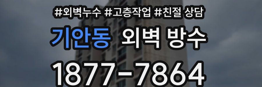 기안동 외벽 방수