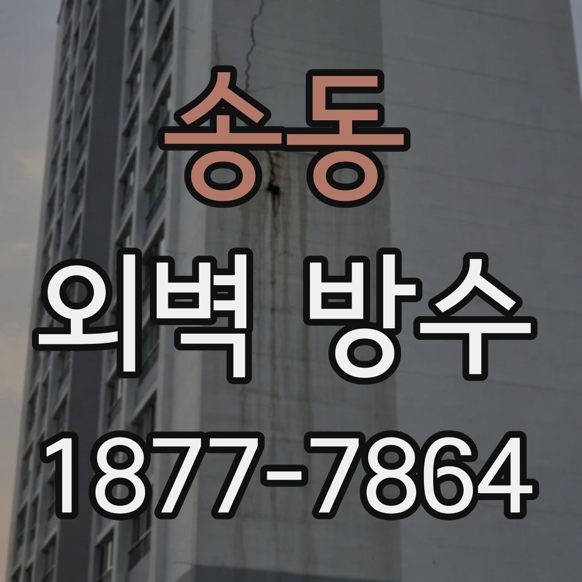 송동 외벽 방수 보수는 부분 수리로 가능한가