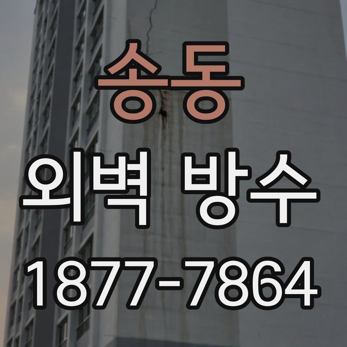 송동 외벽 방수